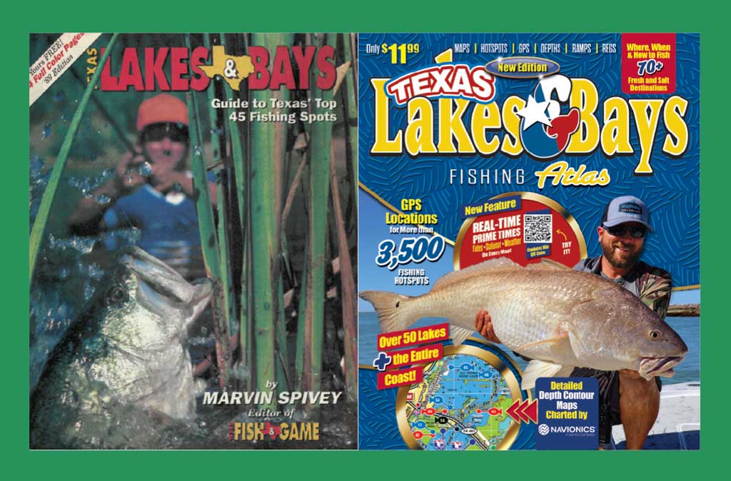 Texas Lakes & Bays: 1989 (left) and Current (right)