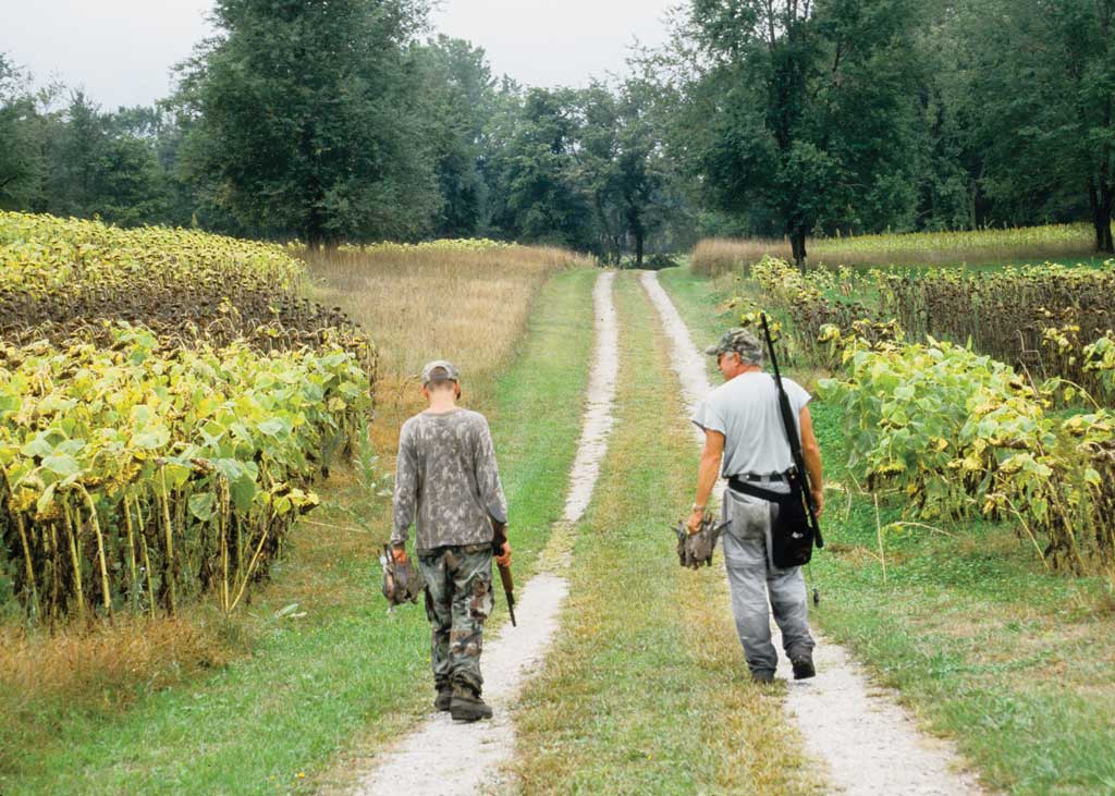 Finding a prime dove hunting spot gets harder and harder every season.