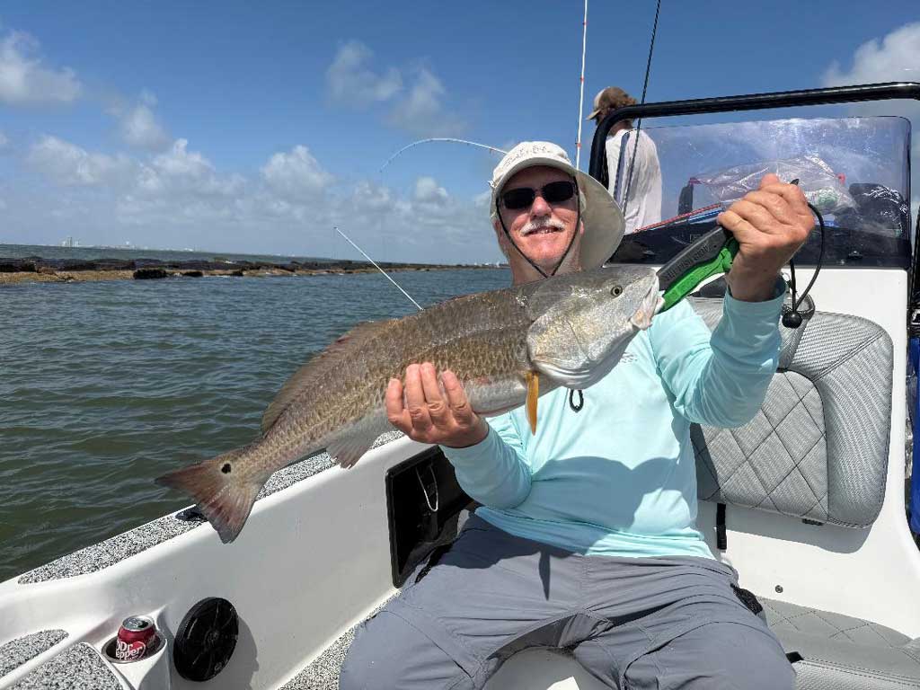 Redfish are schooling up now for their annual spawning season in the nearshore waters.