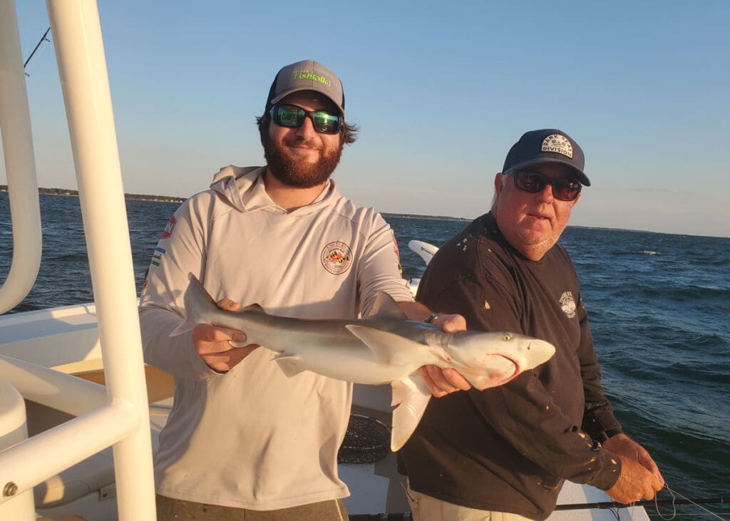 fishing for sharks