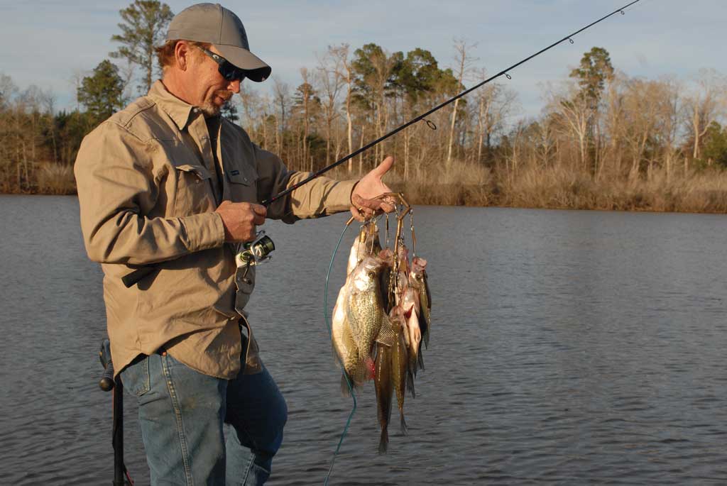 Depending on who you talk to and what lake they fish, FFS technology is either hurting crappie numbers or having little to no affect.