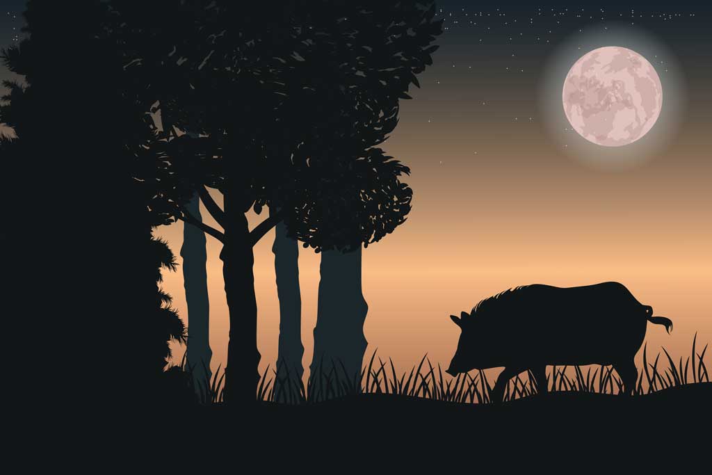 Night on the lease